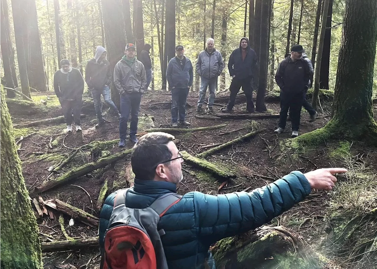 Unions want more say in decisons that shape BC's forestry policy