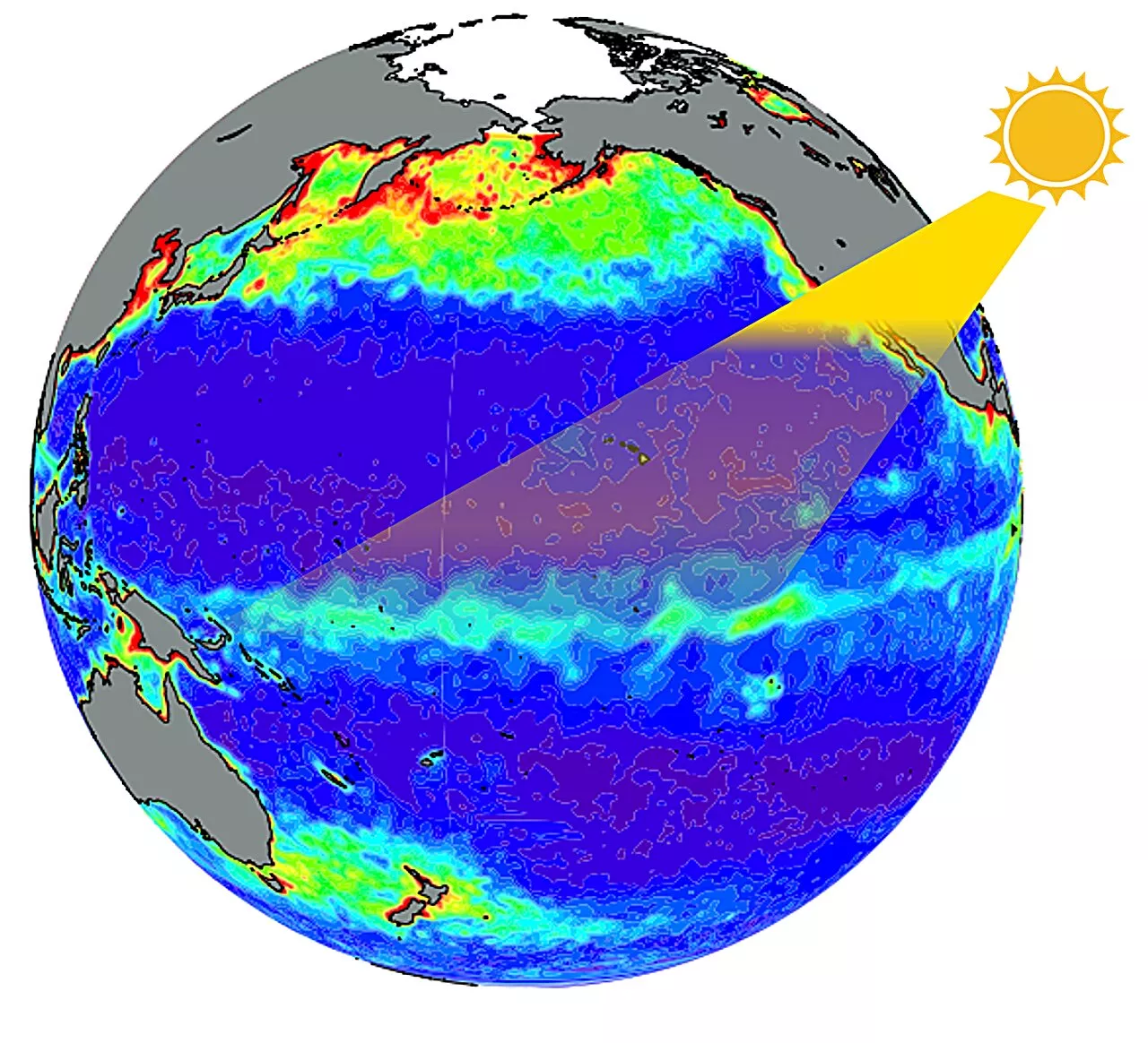 Counteracting effects on ENSO due to ocean chlorophyll interannual variability and instability in the tropical Pacific