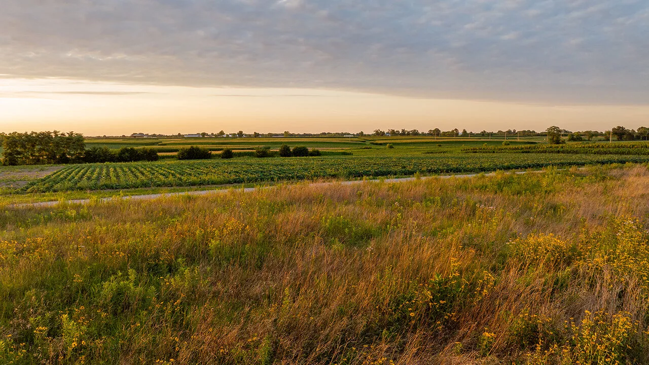 New baseline food and agricultural outlook report