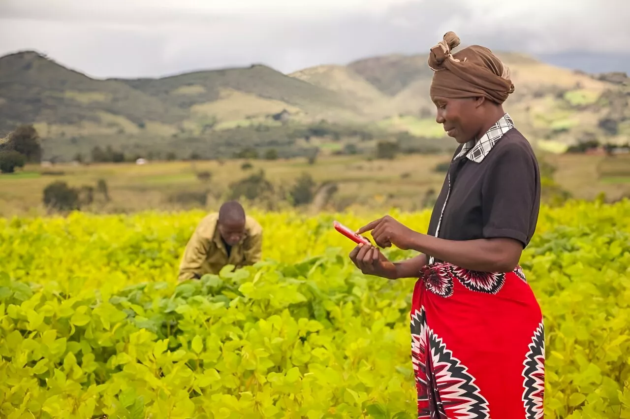 Study shows benefits of chatgroups to human health can be replicated in plant health