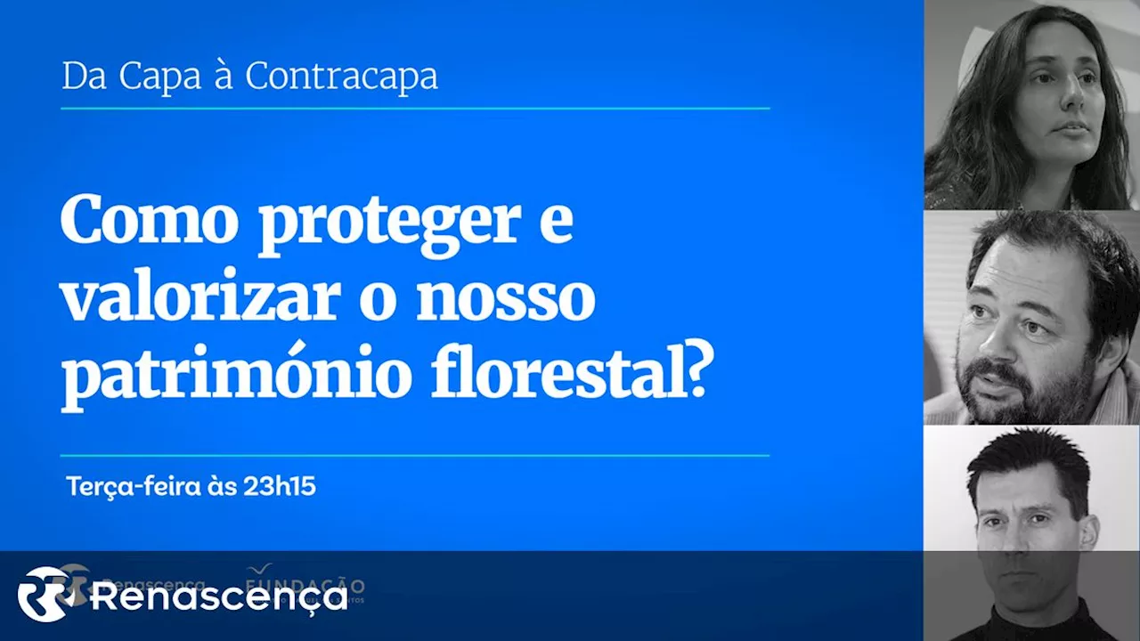 ​Como proteger e valorizar o nosso património florestal?