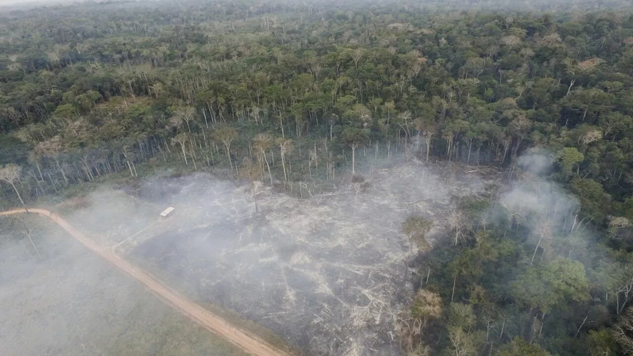 Brésil: la déforestation en Amazonie atteint son plus bas niveau pour janvier-février depuis 2018