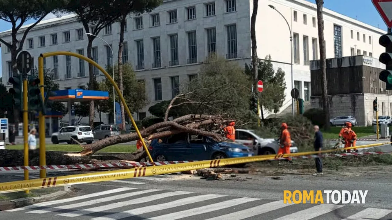 Paura a Roma, albero crolla sulla Colombo su due auto in corsa