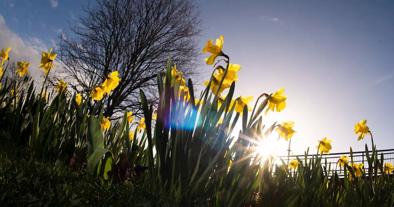 Wetter zu Ostern 2024: Erst mild, Kaltfront in NRW