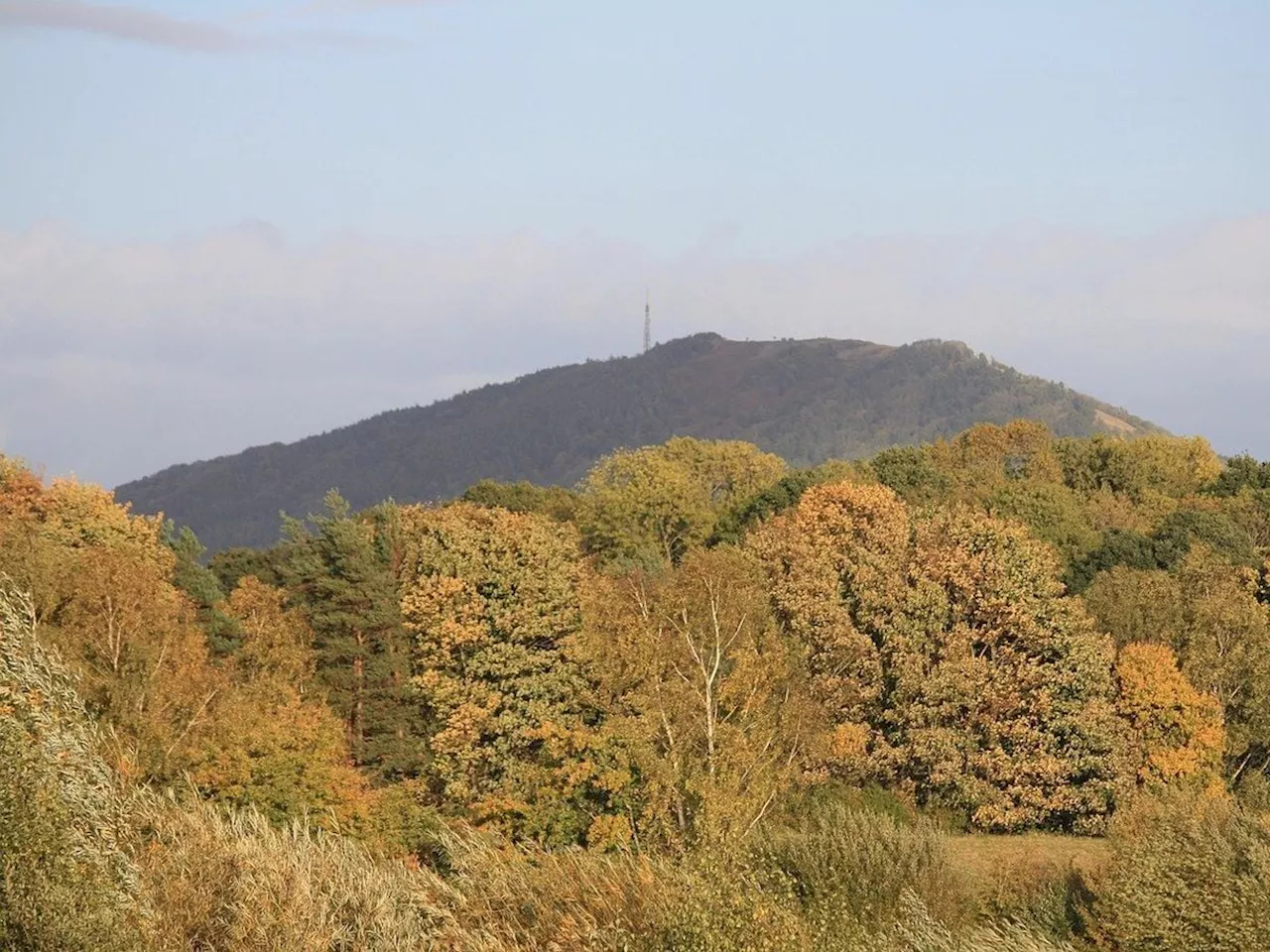 Phone signal in Shropshire could be ‘significantly improved’ with plans to upgrade iconic Wrekin mast