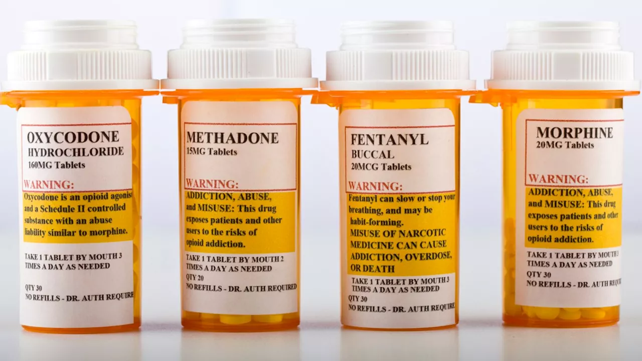 Tennessee 'rock doc' jailed for 20 years for prescribing opioids for money and sex