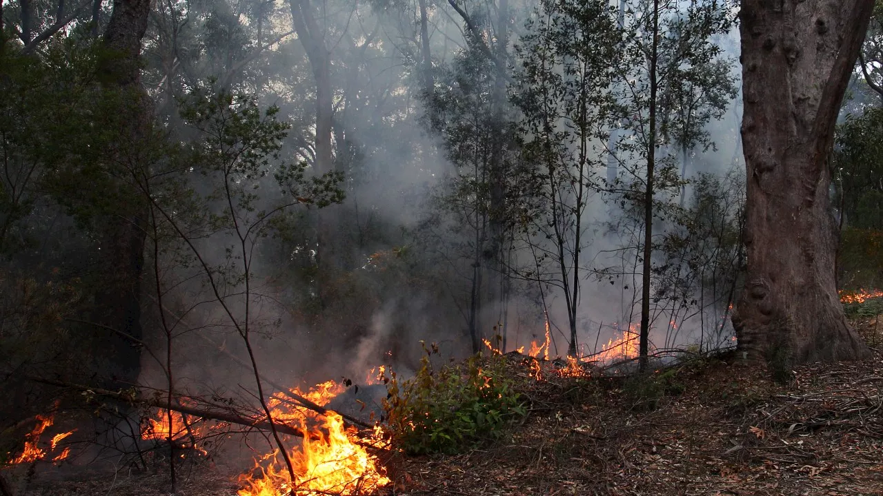 Firefighters battling major bushfire raging on Perth outskirts