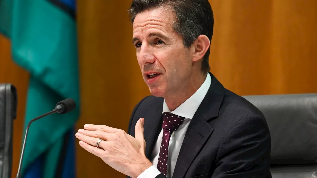 ‘He ought to apologise’: Simon Birmingham calls out Don Farrell