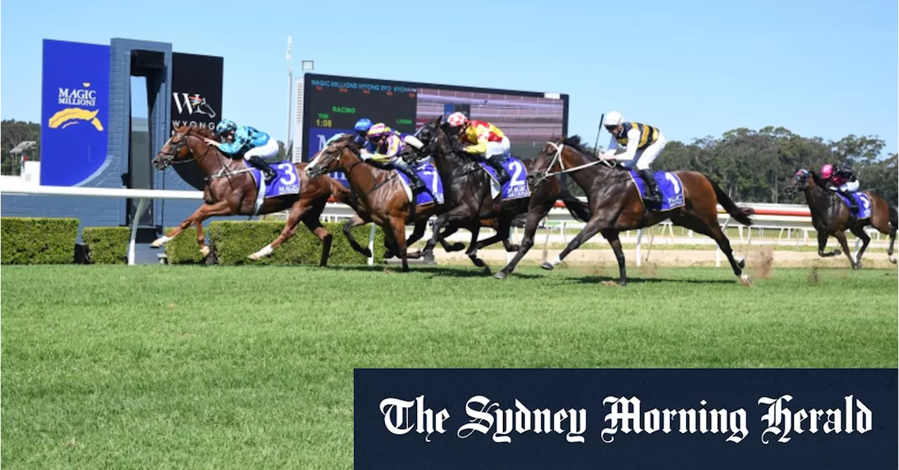 Race-by-race tips and preview for Wyong on Wednesday