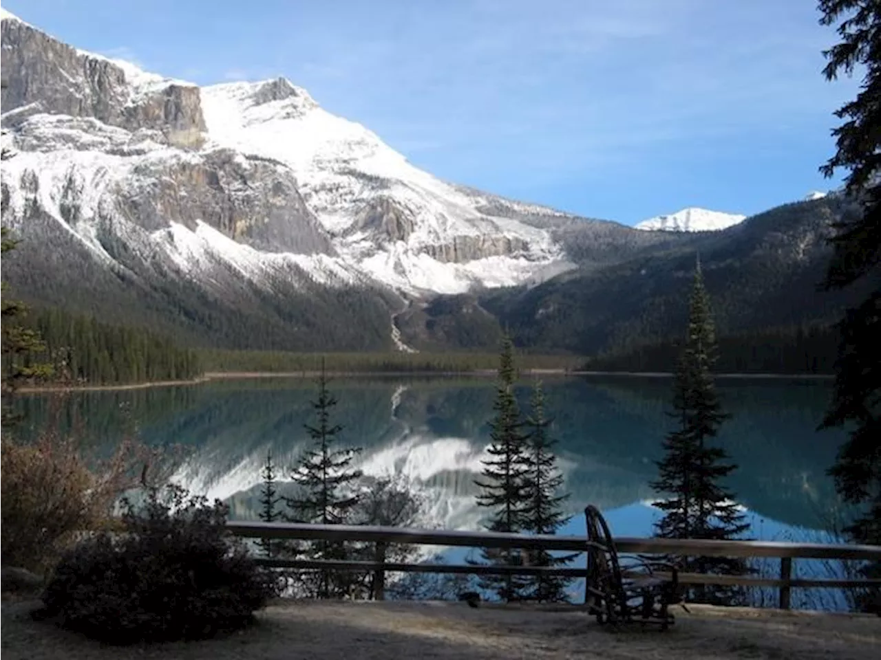 Invasive species lead to access restrictions in B.C., Alberta national parks