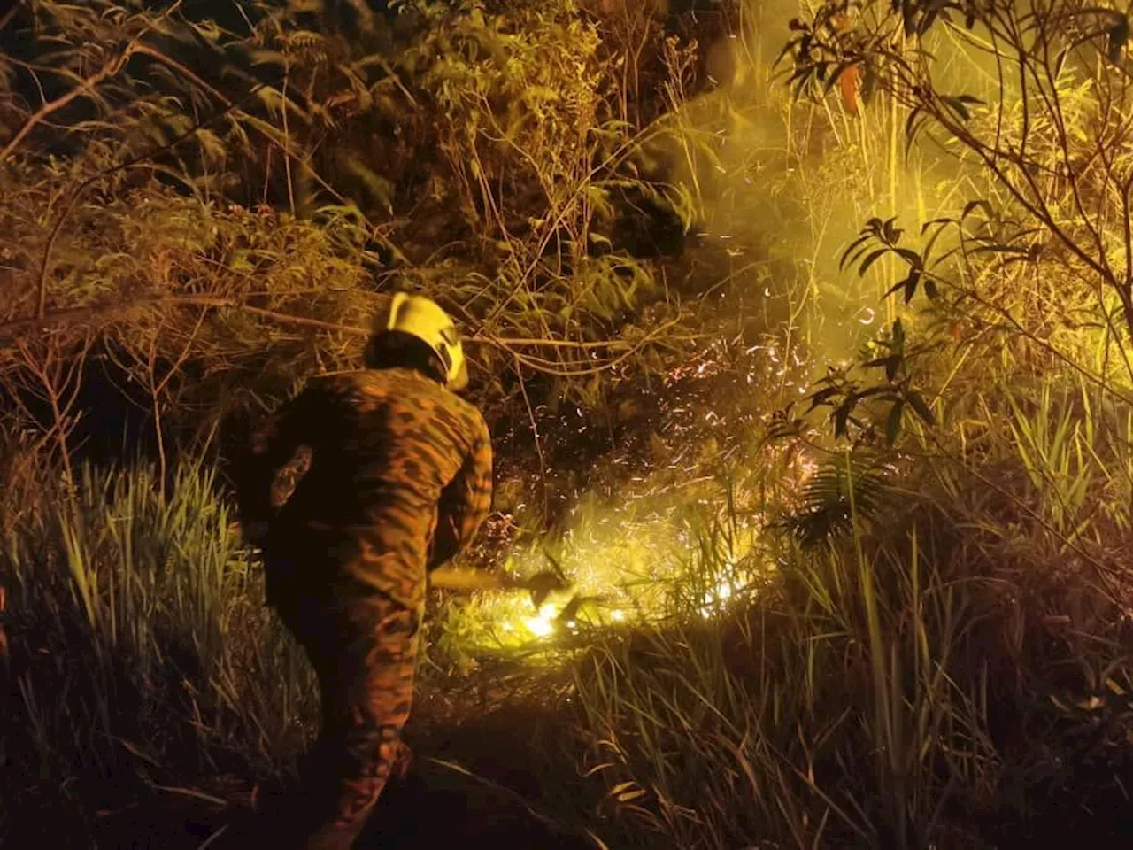 Public urged to be vigilant against causing forest fires at Broga Hill