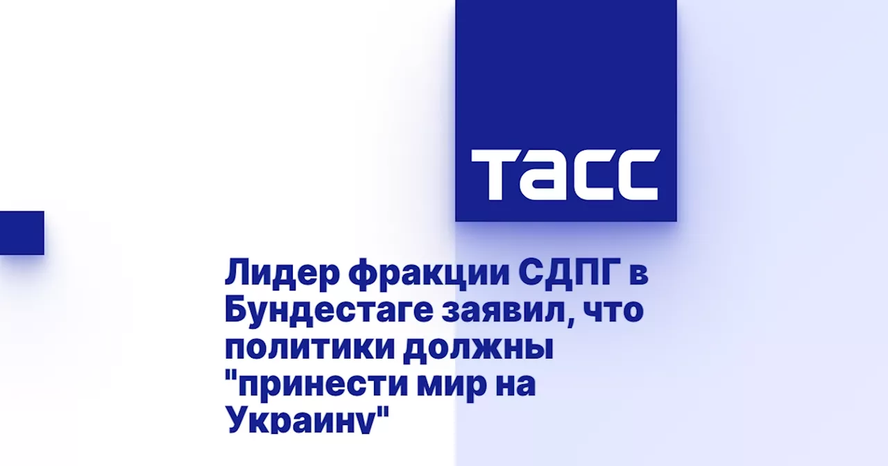 Лидер фракции СДПГ в Бундестаге заявил, что политики должны 'принести мир на Украину'