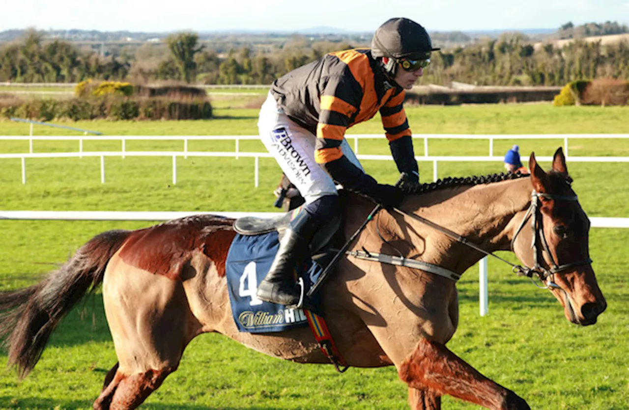 Rockett-powered Mullins contender has handicapper ‘shaking in his boots’