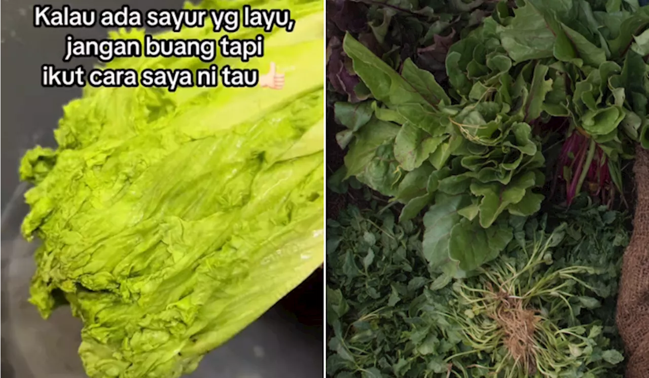 [Video] Jangan Buang Sayur Yang Telah Layu, Ikut Tips Ini Agar Ia Segar Semula