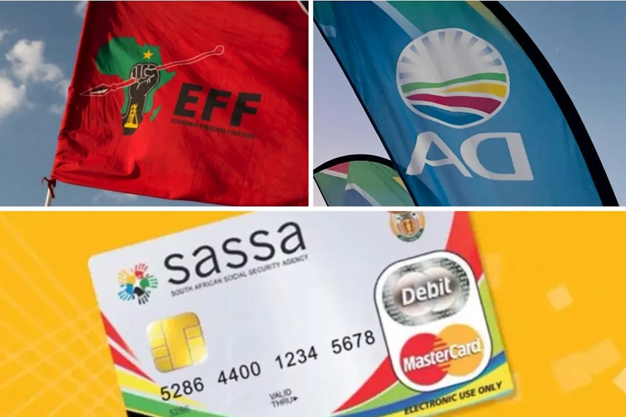 2024 SASSA grants: What each party promises TO DO different