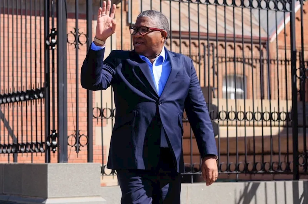 ‘Zuma sowing seeds of confusion,’ warns Fikile Mbalula