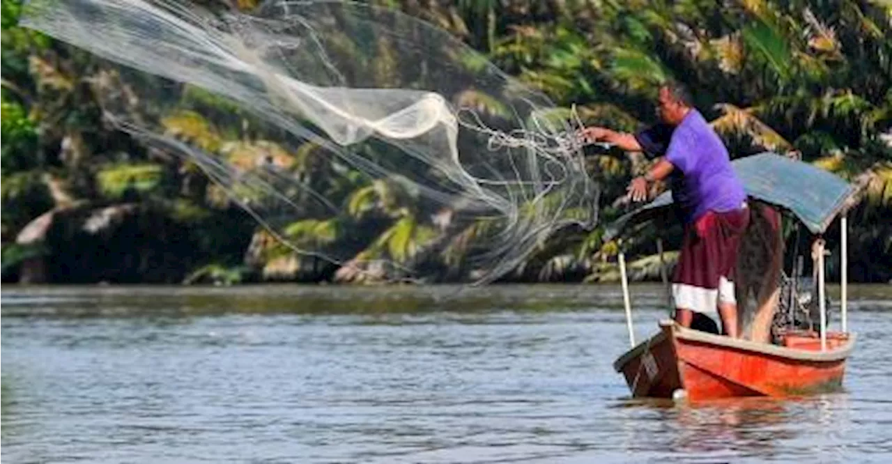 Empat kes tuba ikan, renjatan elektrik dikesan di Negeri Sembilan