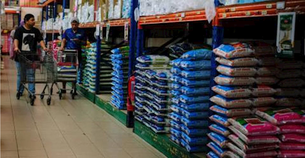 Imported white rice prices to drop by RM2-RM3 effective tomorrow