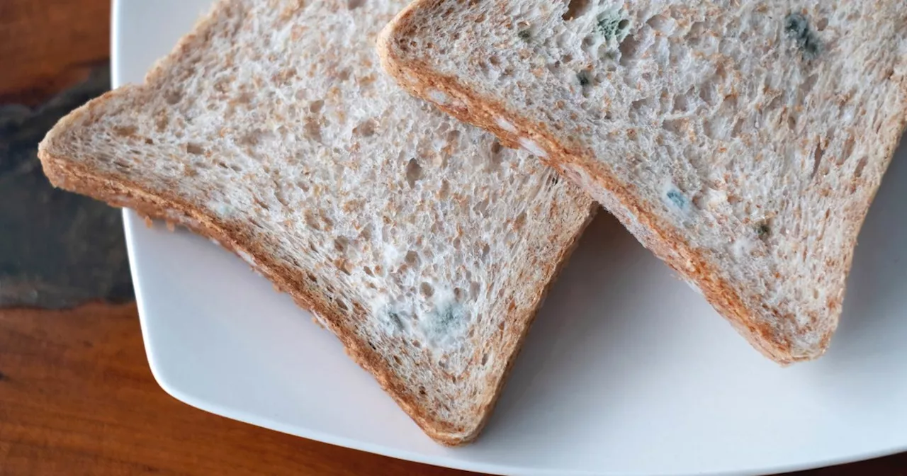 What Happens If You Eat Mold? Food Safety Experts On Health Risks