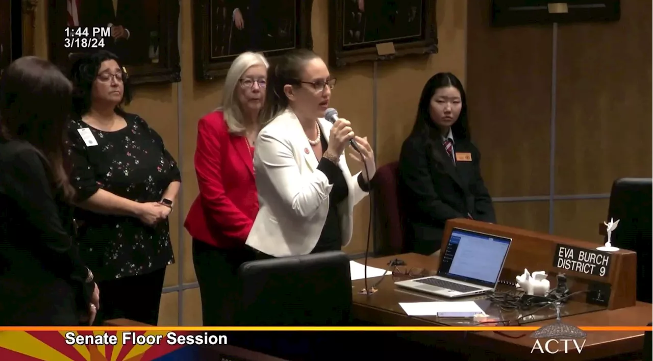 Arizona Lawmaker Details Harrowing Abortion Ordeal on State Senate Floor