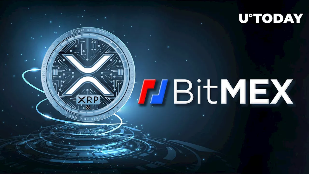 BitMEX Lists XRP for Spot Trading Amid Major Price Decline