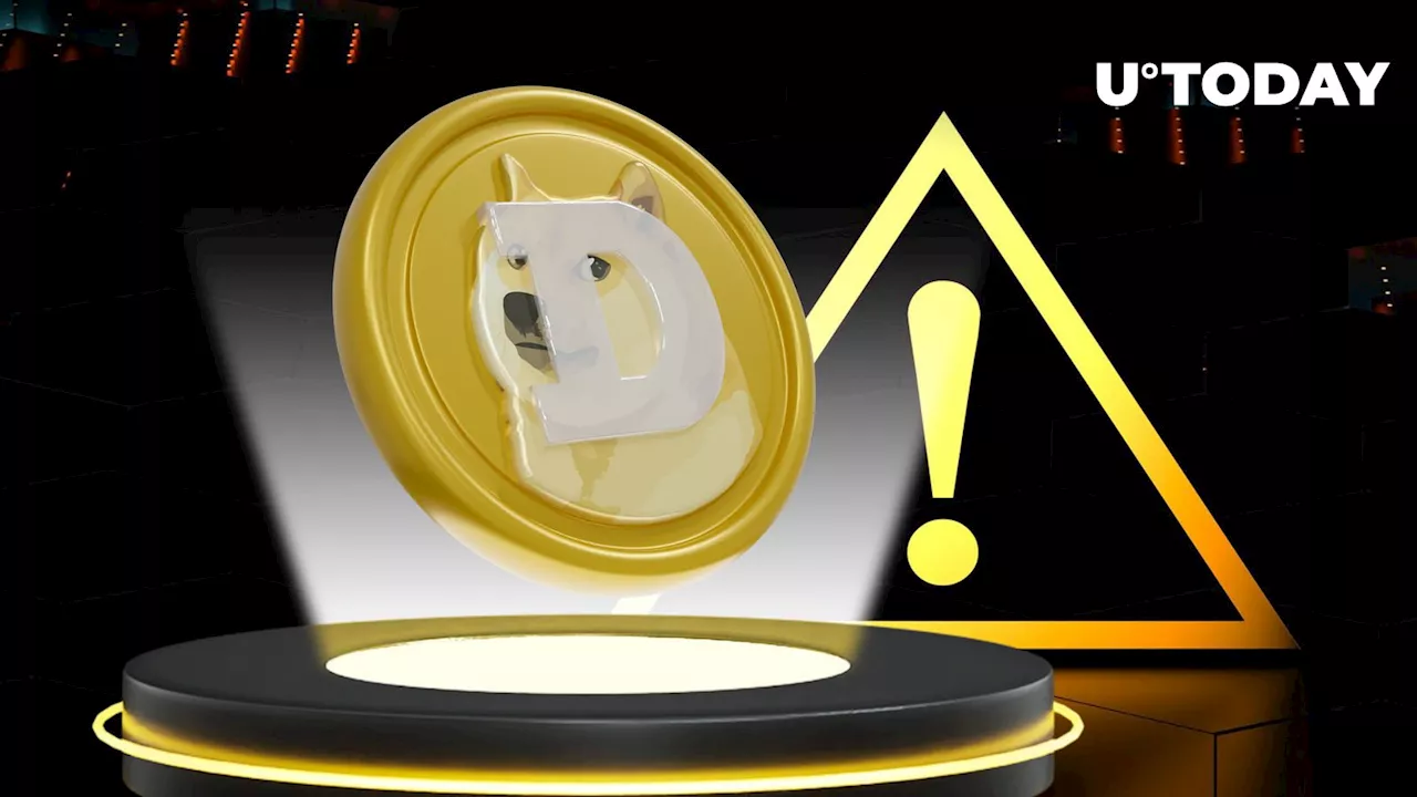 Dogecoin Founder Issues Major Statement on Crypto Bloodbath