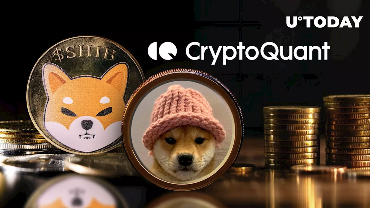 'Meme Coins Harm Crypto Industry,' Says CryptoQuant CEO Amid SHIB and WIF Hype