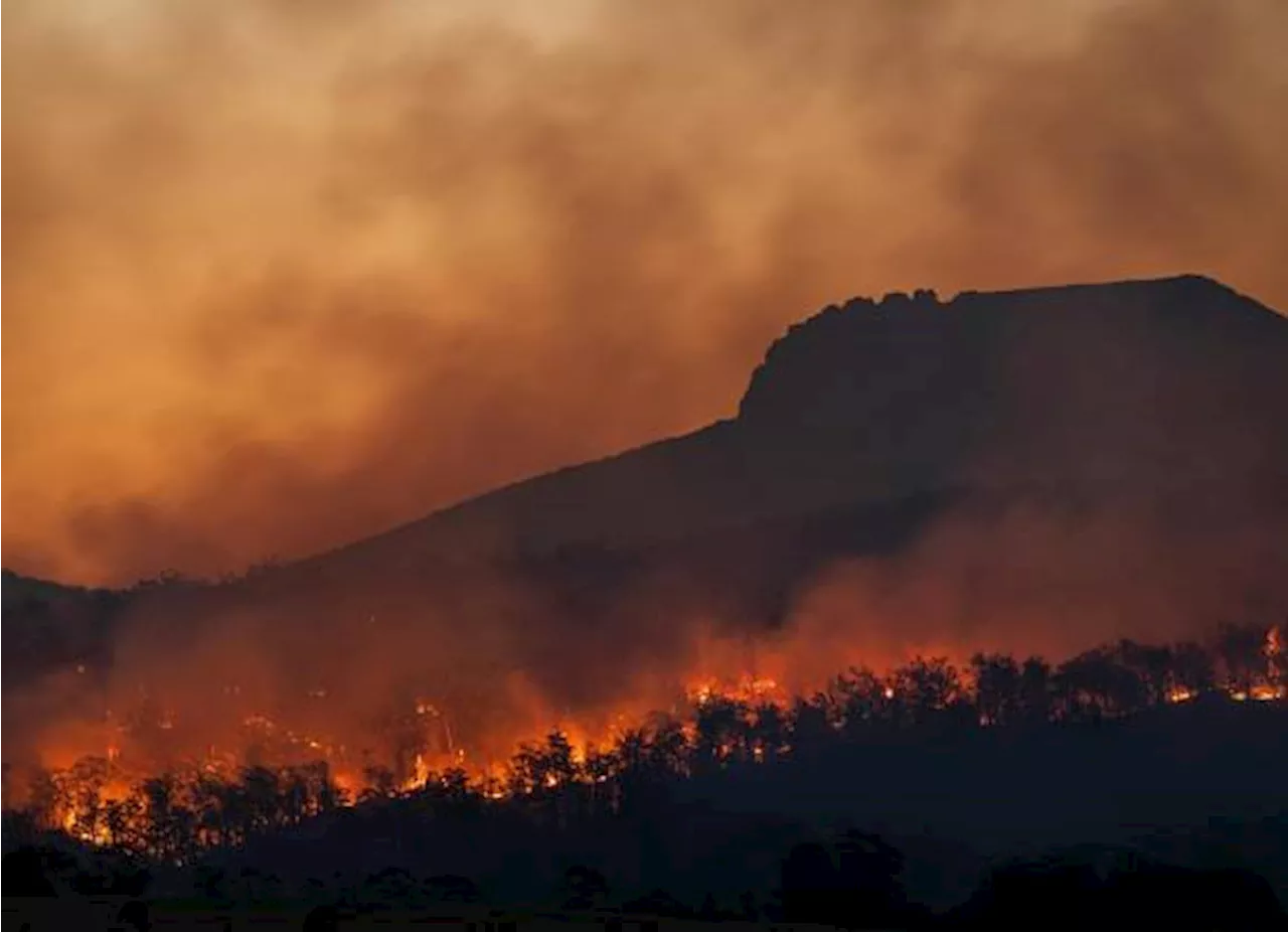 Incendio forestal en Nevado de Toluca va para dos días; es el segundo en marzo 2024