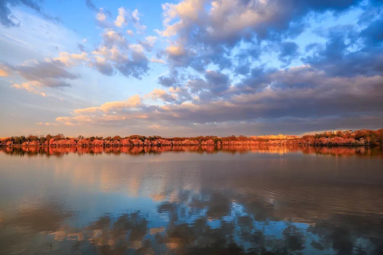 D.C.-area forecast: A brisk, breezy week continues, except warmer Wednesday