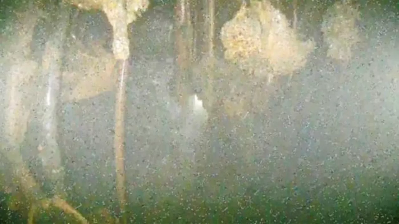 Images taken deep inside melted Fukushima reactor show damage, but leave many questions unanswered