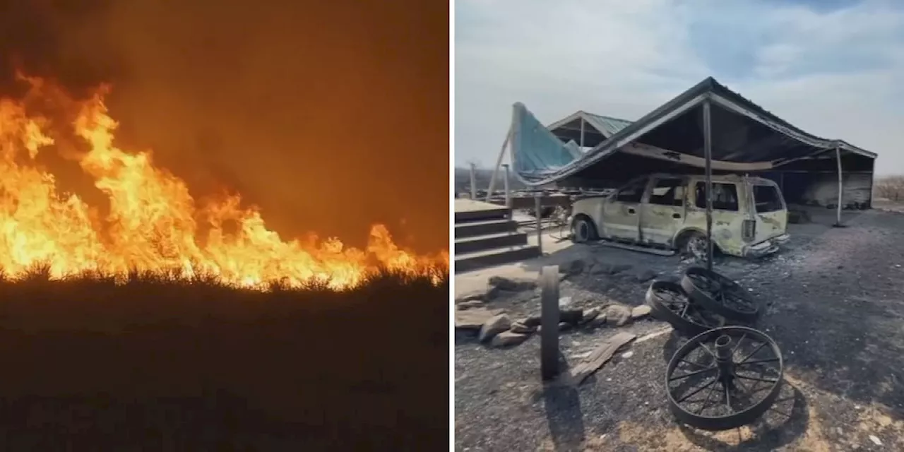 Ala. launches Texas hay relief effort following catastrophic cattle loss in wildfires