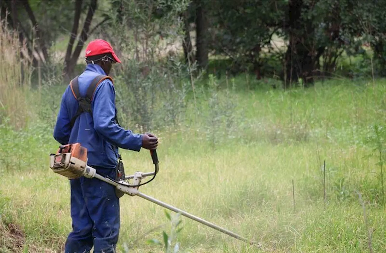 Residents clean overgrown land to tackle criminal elements