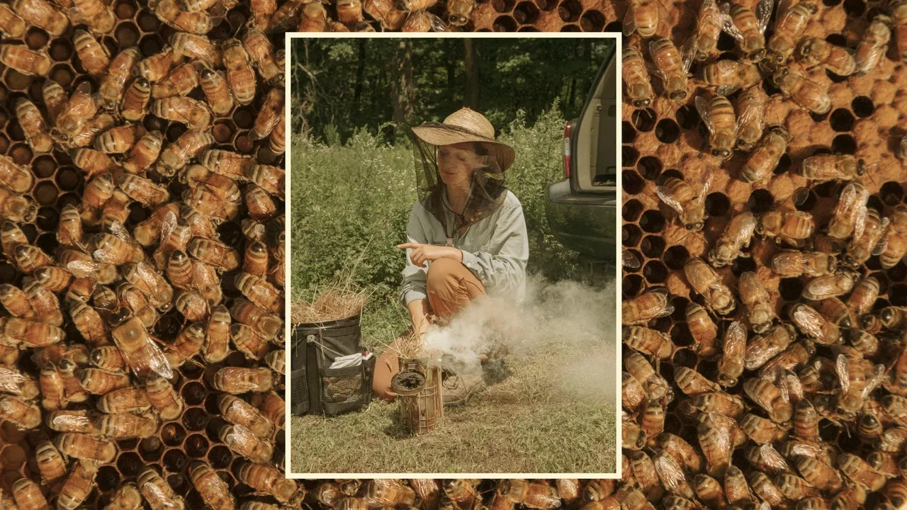 How a Deaf Beekeeper Takes Care of Bees