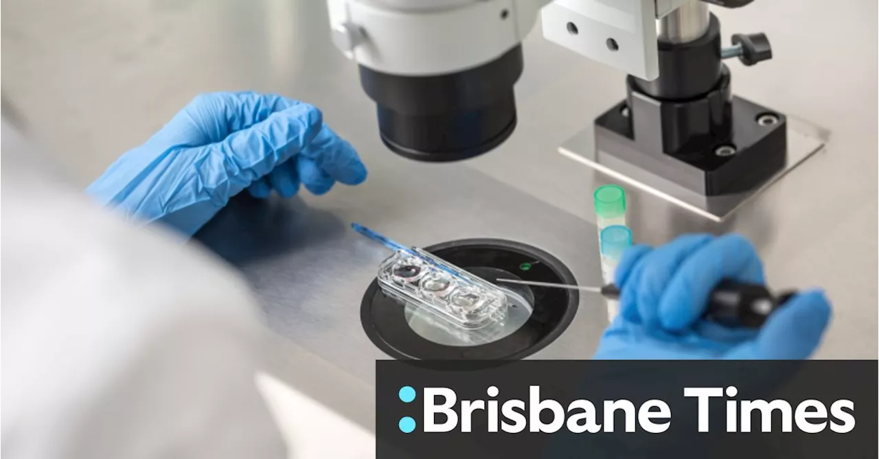 Queensland Government Announces Public Funding for Fertility Treatments