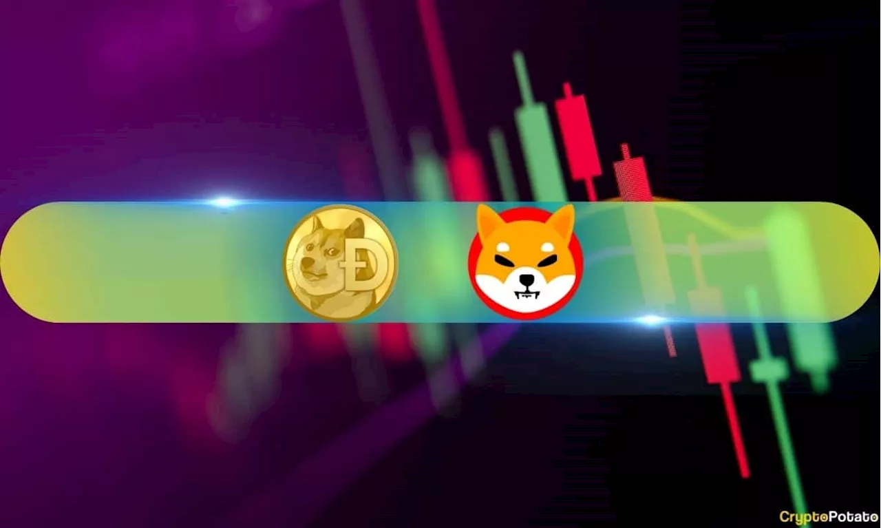 Shiba Inu (SHIB) Explodes 65% Daily, Dogecoin (DOGE) Follows Suit With 20% Surge (Weekend Watch)