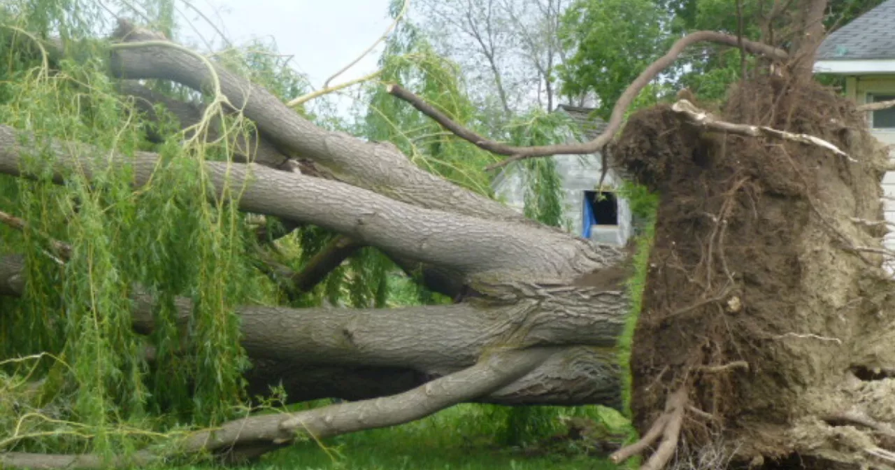 Has Salt Lake City learned anything since devasting 2020 wind event?