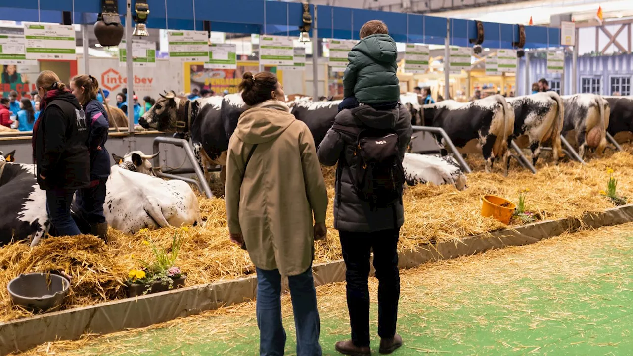 DIRECT. Salon de l'agriculture : Valérie Hayer a fait son premier déplacement en tant que tête de liste Renais