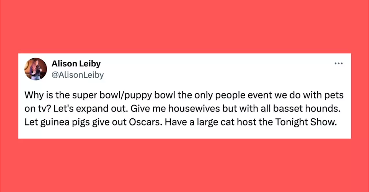 24 Of The Funniest Tweets About Cats And Dogs This Week (Feb. 24