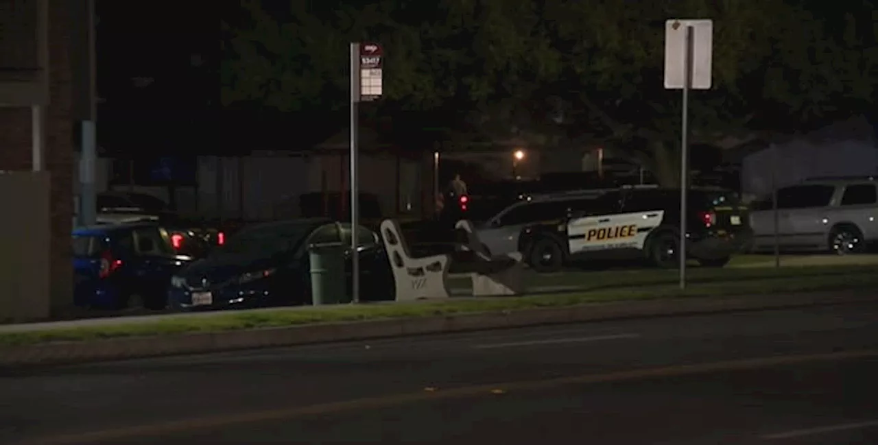 San Antonio police shoot man, 19, who pointed gun at officers responding to call, chief says