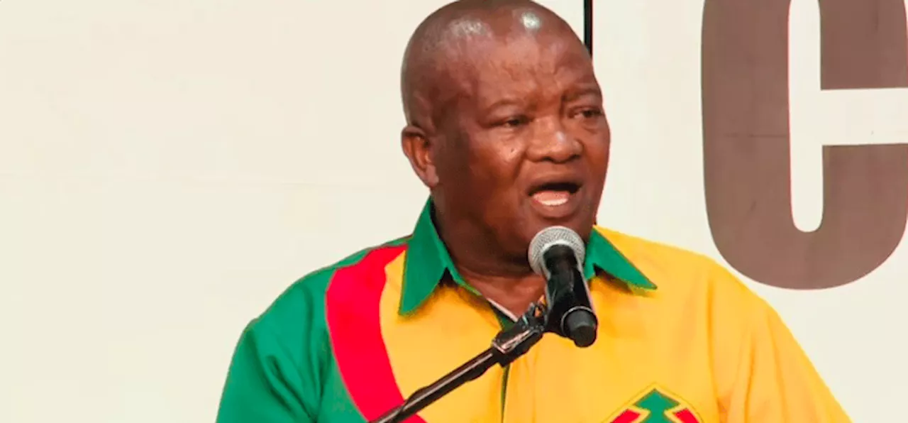 UDM manifesto: Partial privatisation for Eskom, merit-based public posts