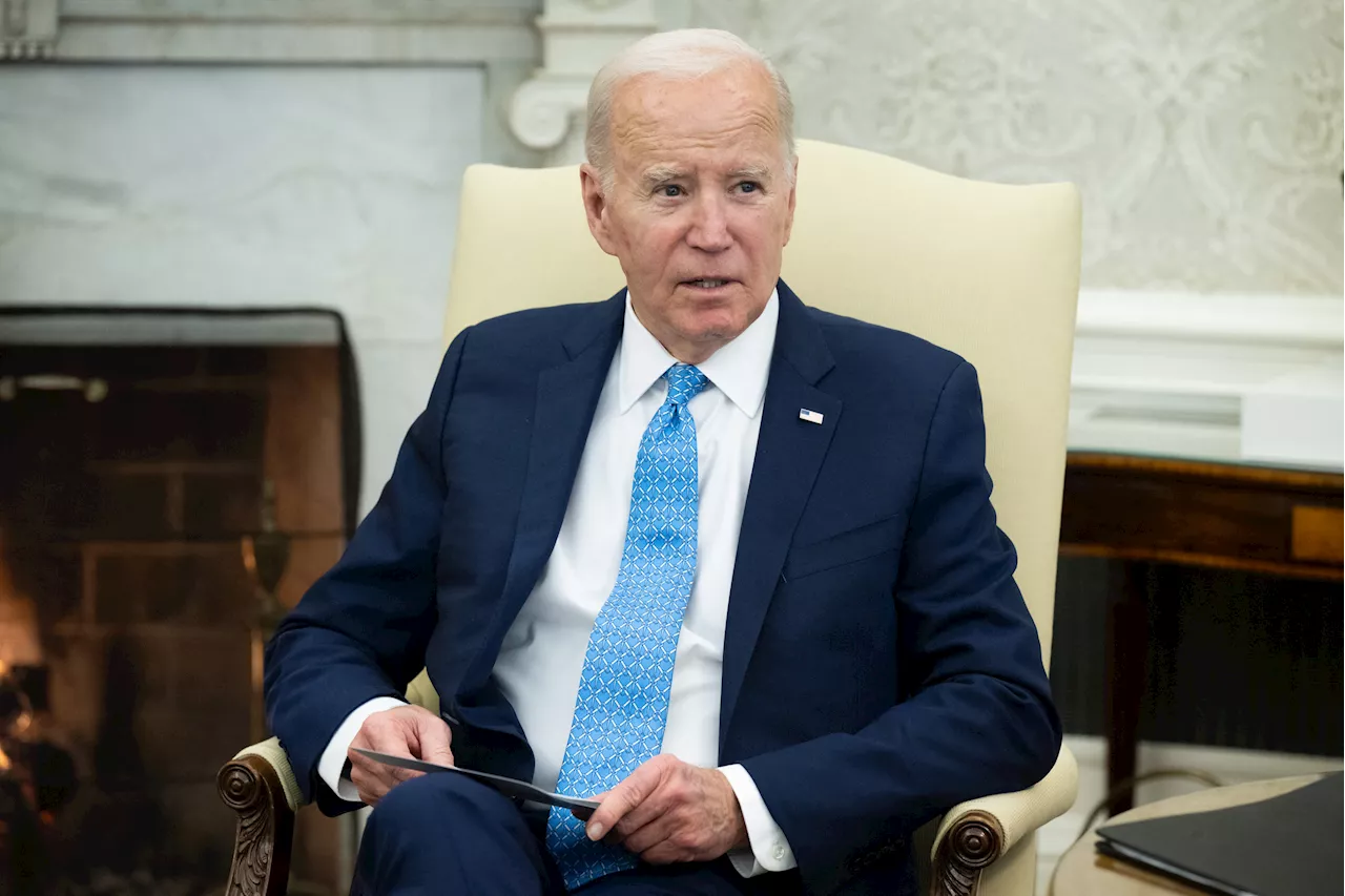 Joe Biden's Promised Gaza Aid Delivered Via Airdrop