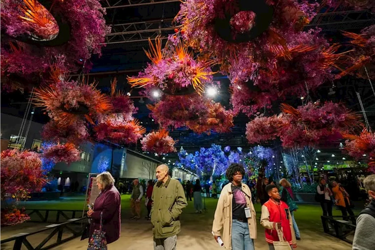 Five things not to miss and one to skip at the 2024 Philadelphia Flower Show