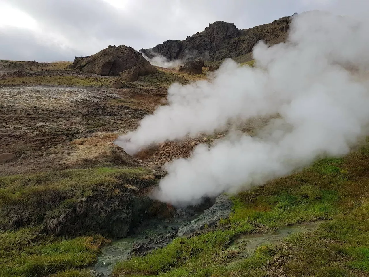 Carbon Cycle Surprise: Global Warming Sparks a Diversity Explosion in Soil Microbes