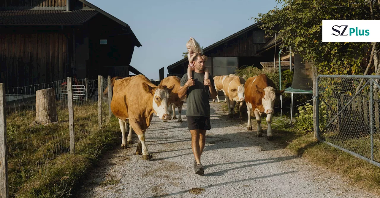 Landwirtschaft: Vom Schlachtbetrieb zum veganen Bauernhof