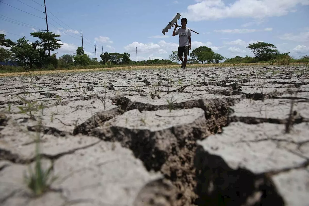 Philippine Government to Provide Credit and Insurance Assistance to Farmers and Fishers Affected by El Niño