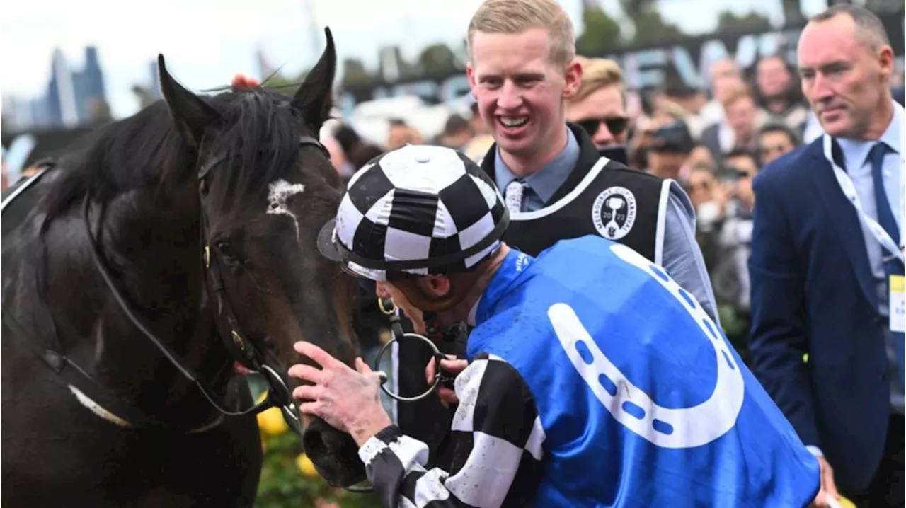 Sad news facing Melbourne Cup winner Gold Trip with racing future now in doubt