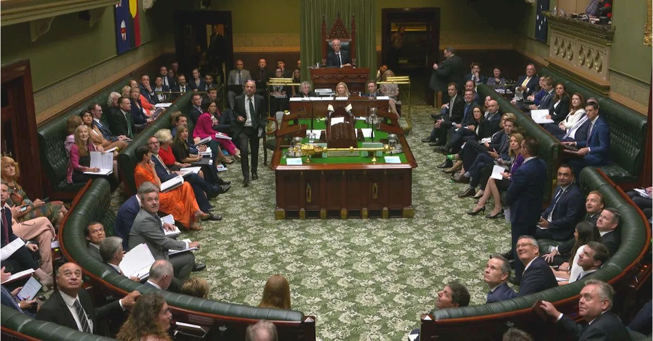 Pro-Palestine protesters shut down NSW parliament after storming sitting