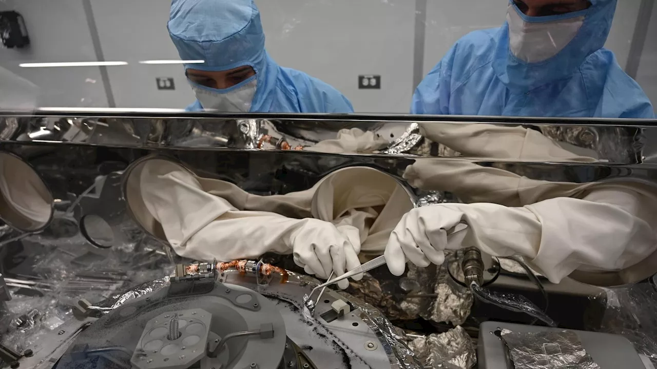 'Asteroid hunter' digs deep into massive space object that's set to make close pass to Earth