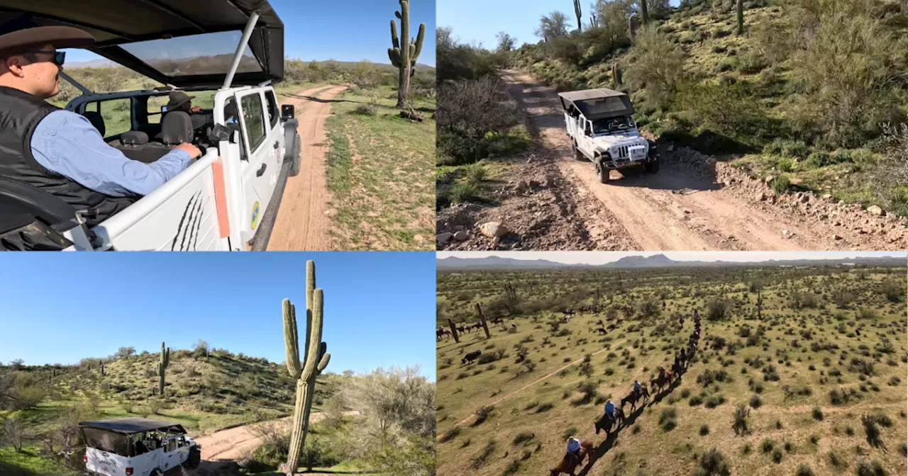 Fort McDowell Adventures offers thrilling ‘Jumping Cholla Jeep Tour’, horseback rides, cattle drives