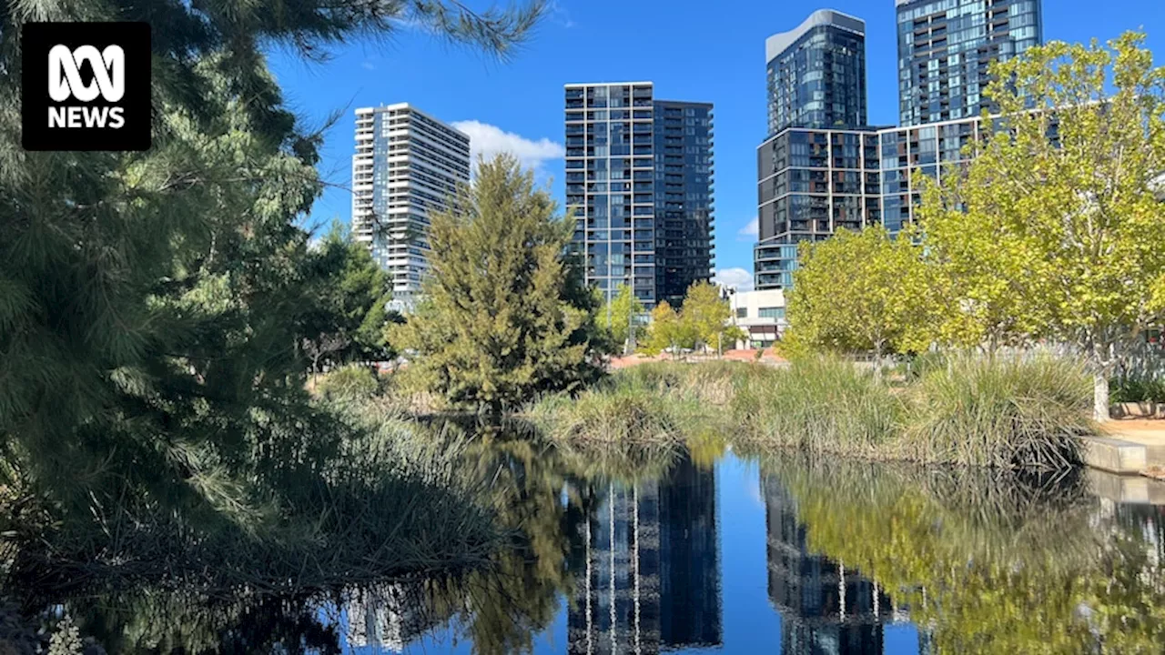 As the Canberra suburb of Belconnen grows, locals are calling for green space to be a priority